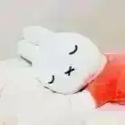 みーちゃんの画像