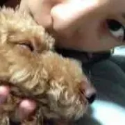 ここまる
