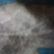 yや