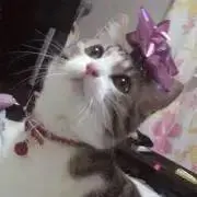 み。の画像