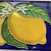 ごろごろの画像