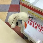アーティカル