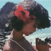 キムチの画像