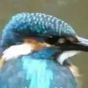 ぁけ。の画像