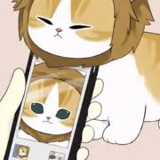 シンバの画像