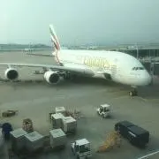 ポッポの画像