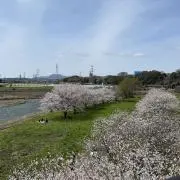 りの画像