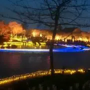 Pooh☆の画像