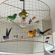 断捨離強化中の画像