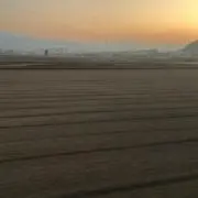 卵