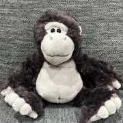 Mの画像