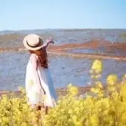 あぽろ＊匿名配送の画像