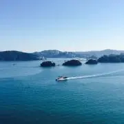 げちゃたくの画像