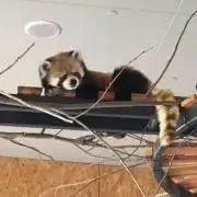まあちゃんの画像