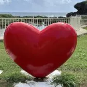 アリスの画像