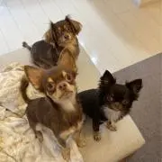 ちゃん♡お休み中ᶻᶻᶻ