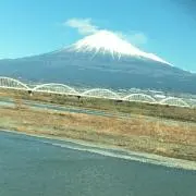 ゆずの画像