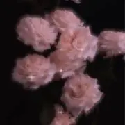 __vの画像