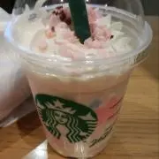 ナマズの画像