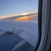 ノリ