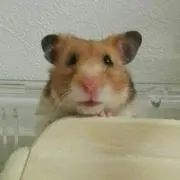 タップの画像