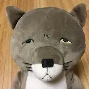 ひろぽんの画像