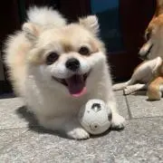 Miyuの画像