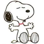 どるふぃん