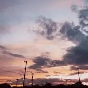 c-ナッツ3の画像