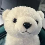 ７ちゃんの画像