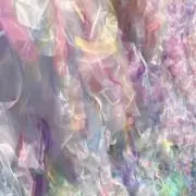 maaの画像