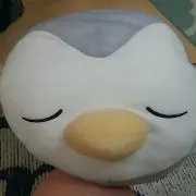 PENちゃんの画像