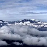 nanaの画像