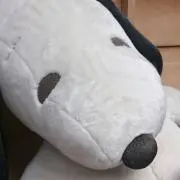 ぱぱぱんだ