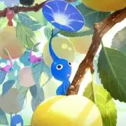 ハトムギ化粧水の画像