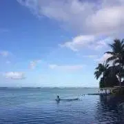 あおの画像