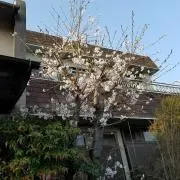 みみの画像