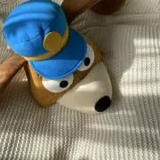 ぱんぷきんの画像