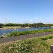 ハイボールの画像
