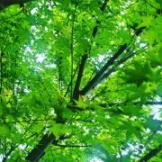 さん334の画像