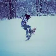 棚こうの画像