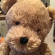 エリカママ