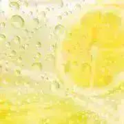レモン　プロフ必読の画像