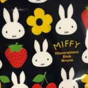 しちゆう【プロフ必読】