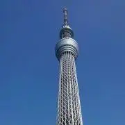 たかの画像