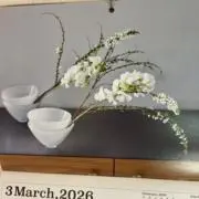 ニャン吉の画像