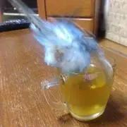 さんたろ