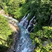 渓流の画像