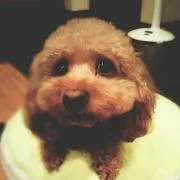 らぶりん