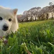 ★らん★の画像